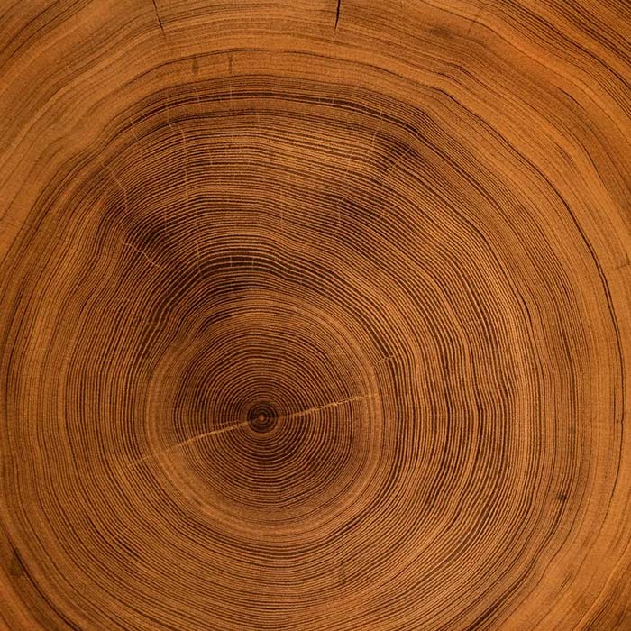 Wooden Doors and Windows in Kerala,Best wooden doors and windows in Kerala,Wooden doors and windows Kerala,Best Wood Company Kerala, Wood company in Kerala,Wood company Kerala,top wood company in Kannur,Best Wood Company in Kannur, Wood Company in Kannur,Top Wood Company in Kannur, Wood companies in Kannur