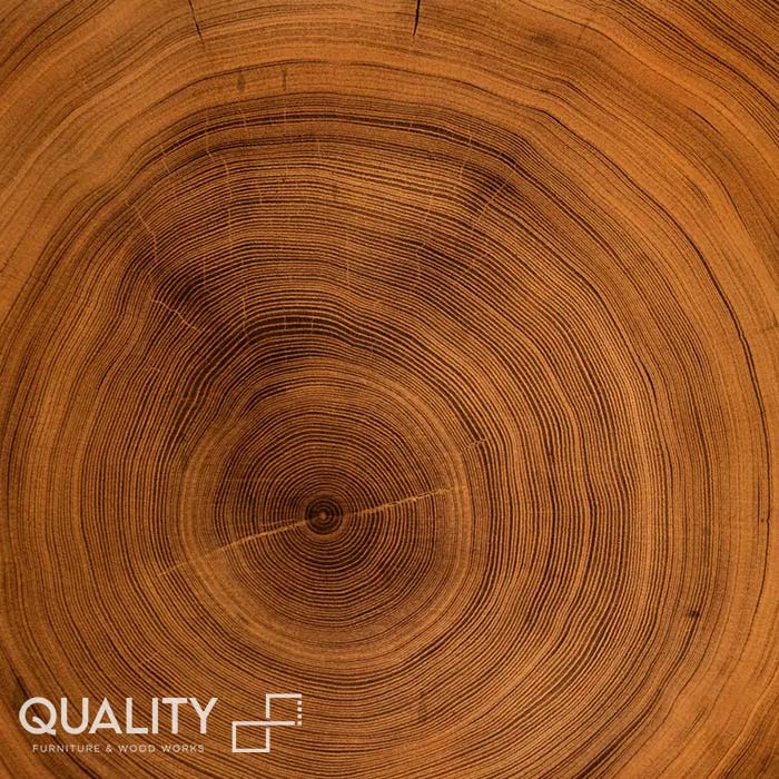 Best Wood Company in Kerala,Best Wooden Doors Manufacturers in Kerala,Best Wooden Windows in Kerala,Best Wooden door dealers in Kerala